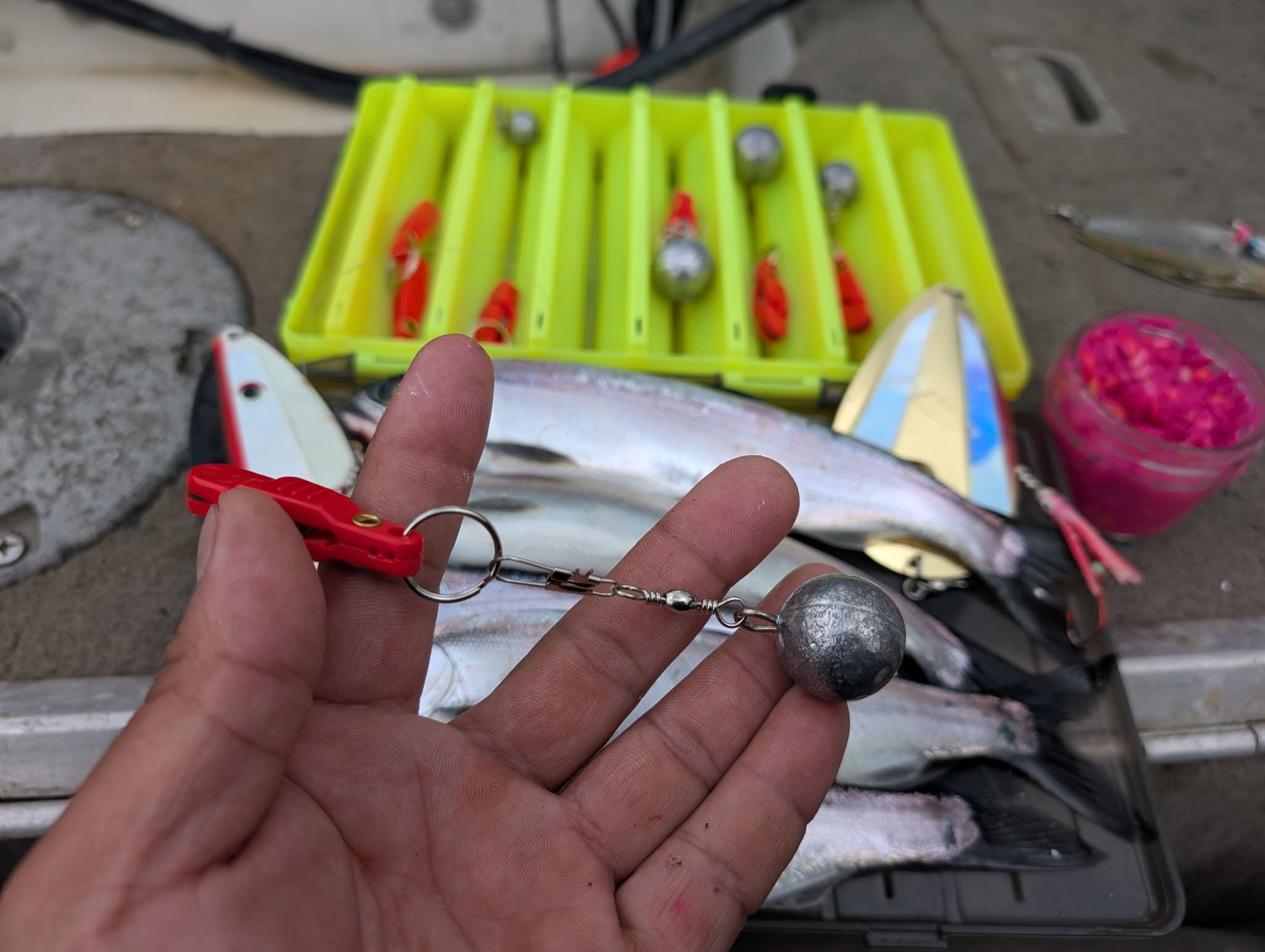 Alouette Lake Fishing Report – May 20, 2025