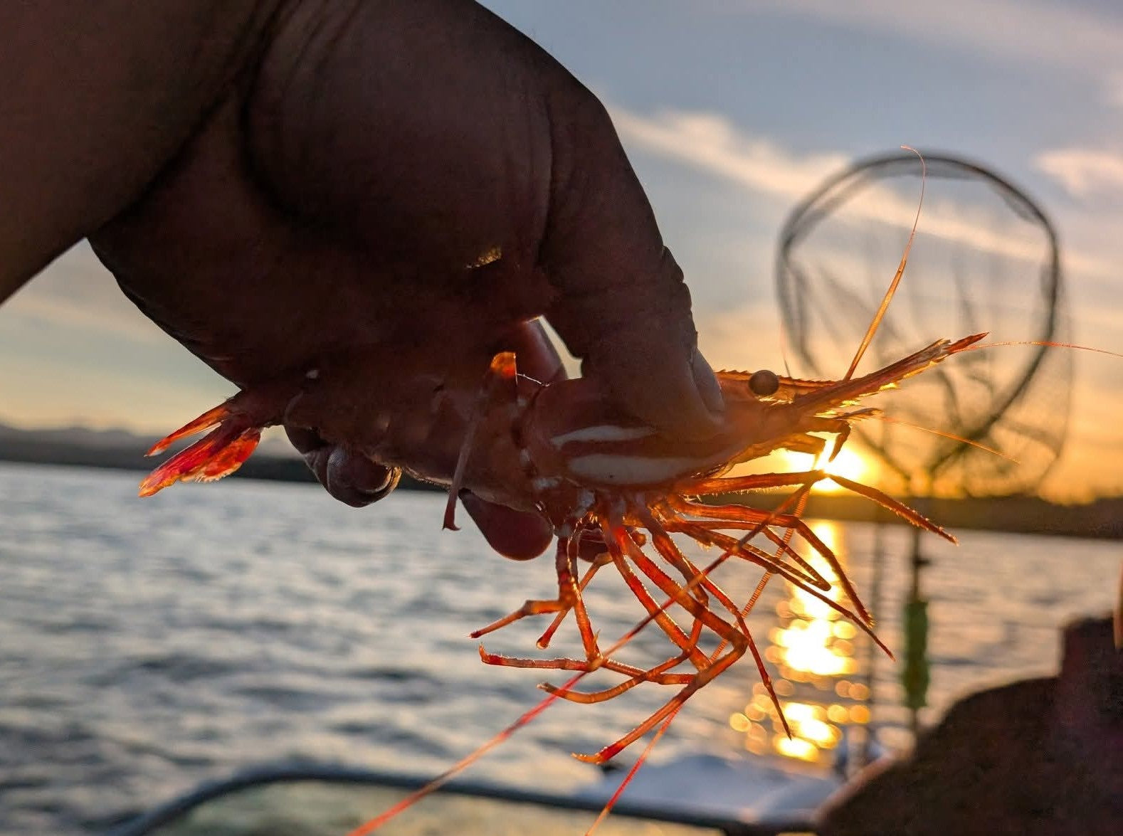 🎣 Yellow Point Fishing Report – August 6–9, 2025