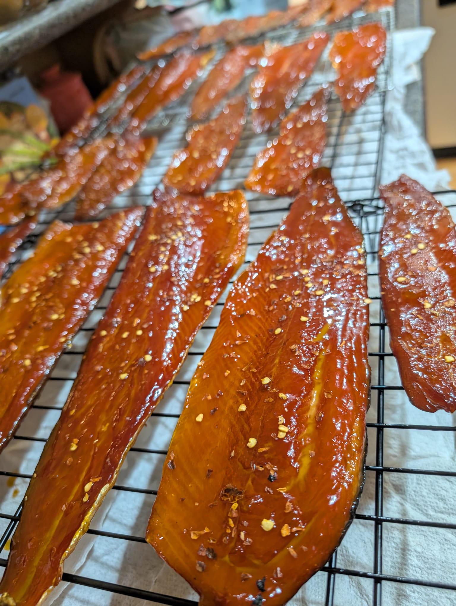 Hot Smoking Kokanee on the Bradley P10 Professional Smoker.